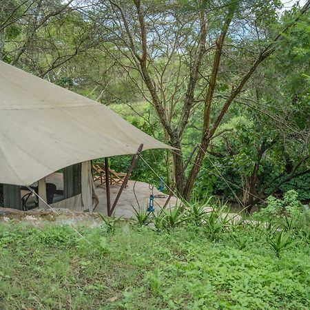 Dolly Farm & River Camp, Luxury Tents Usa River エクステリア 写真