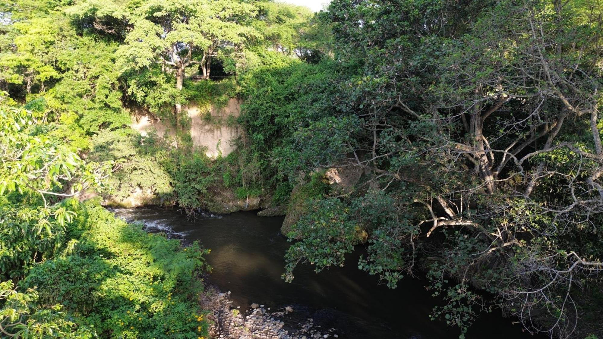 Dolly Farm & River Camp, Luxury Tents Usa River エクステリア 写真