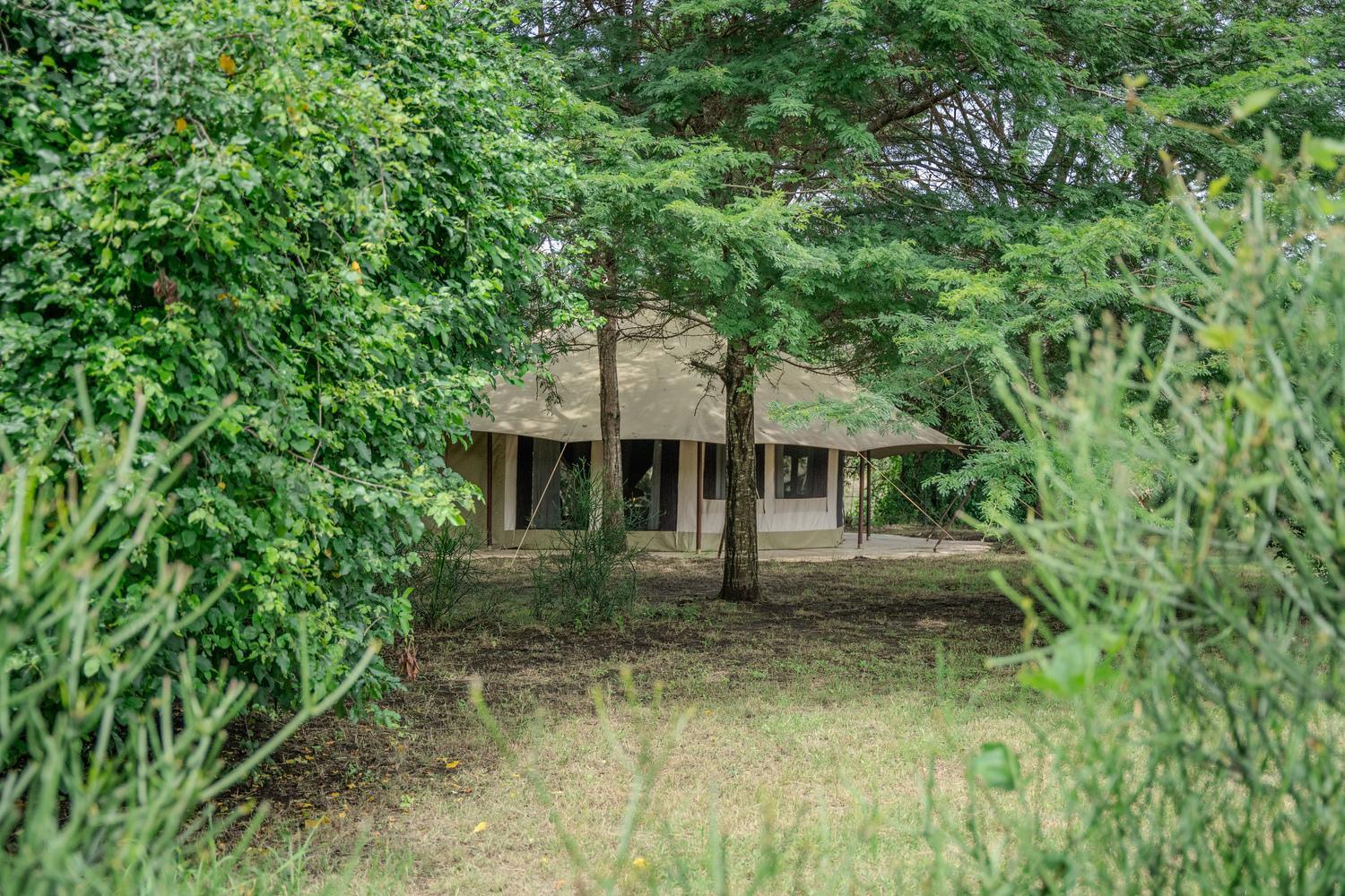 Dolly Farm & River Camp, Luxury Tents Usa River エクステリア 写真
