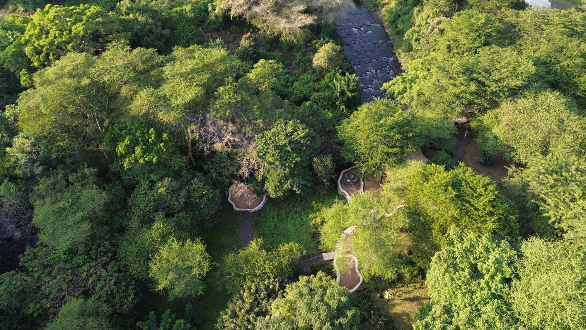 Dolly Farm & River Camp, Luxury Tents Usa River エクステリア 写真